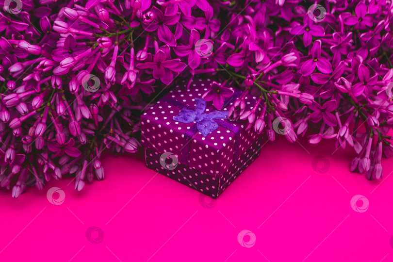 Скачать Сирень и подарки фотосток Ozero