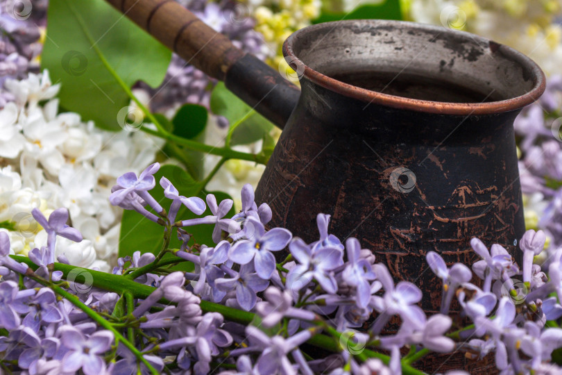 Скачать Сирень и кофемашина фотосток Ozero