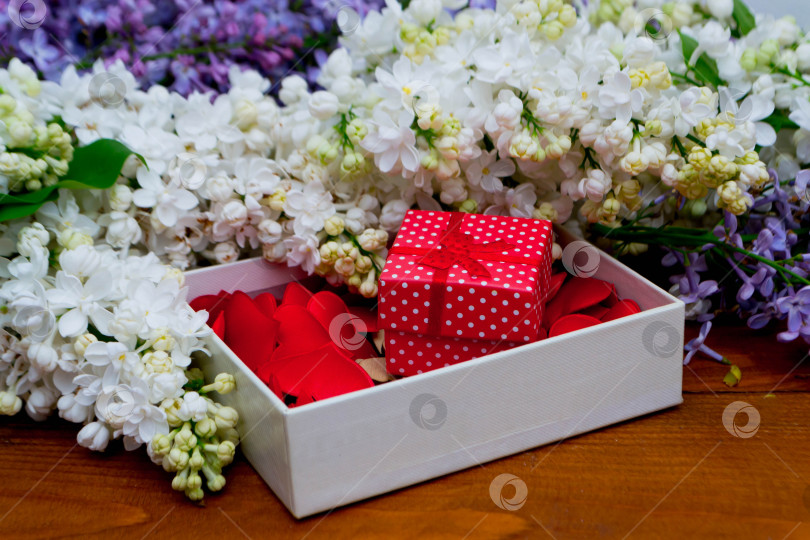 Скачать Сирень и подарки фотосток Ozero