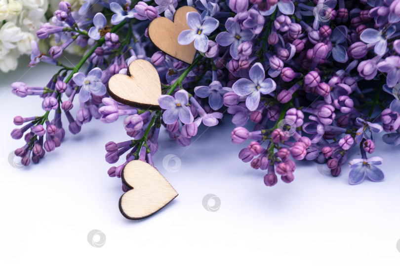 Скачать Сирень и любовь фотосток Ozero