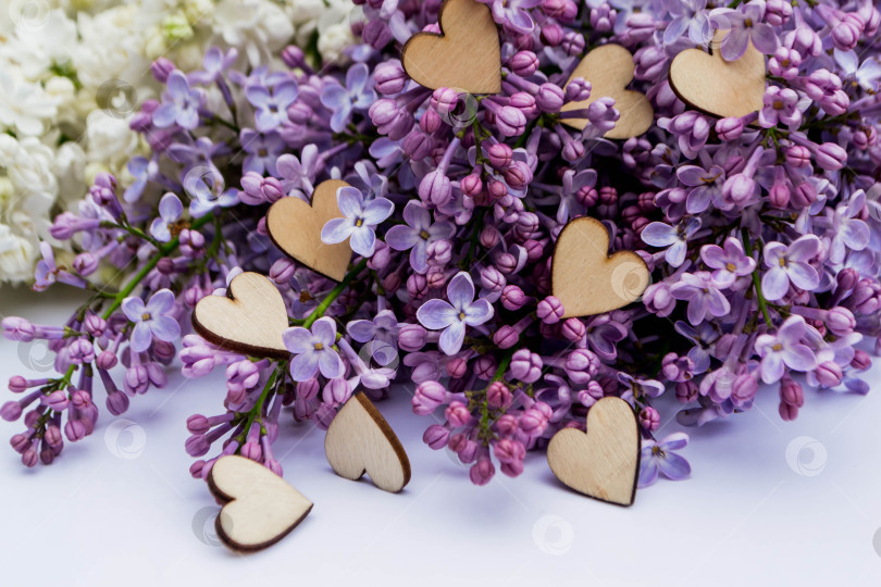 Скачать Сирень и любовь фотосток Ozero