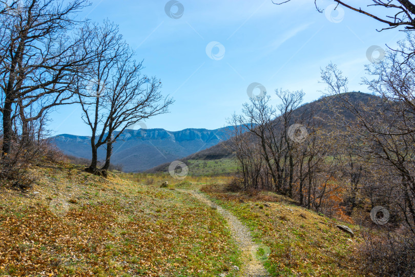 Скачать Горный пейзаж фотосток Ozero