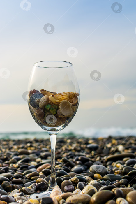 Скачать Бокал вина на берегу моря фотосток Ozero