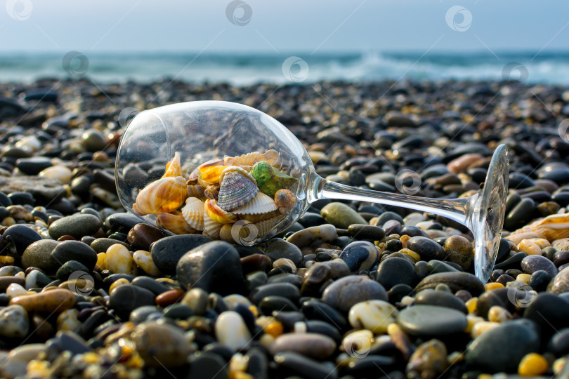 Скачать Бокал вина на берегу моря фотосток Ozero