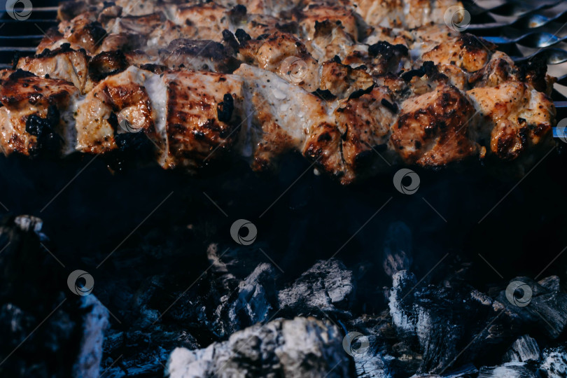 Скачать Барбекю фотосток Ozero