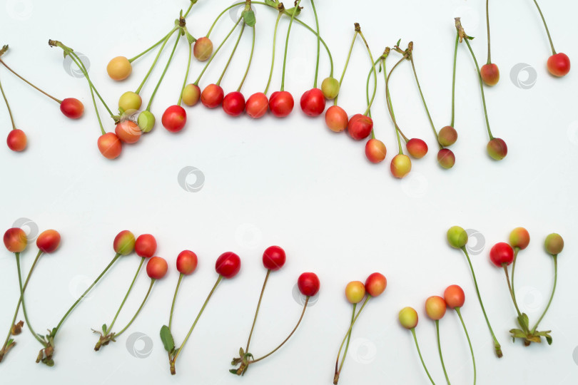 Скачать Вишня фотосток Ozero