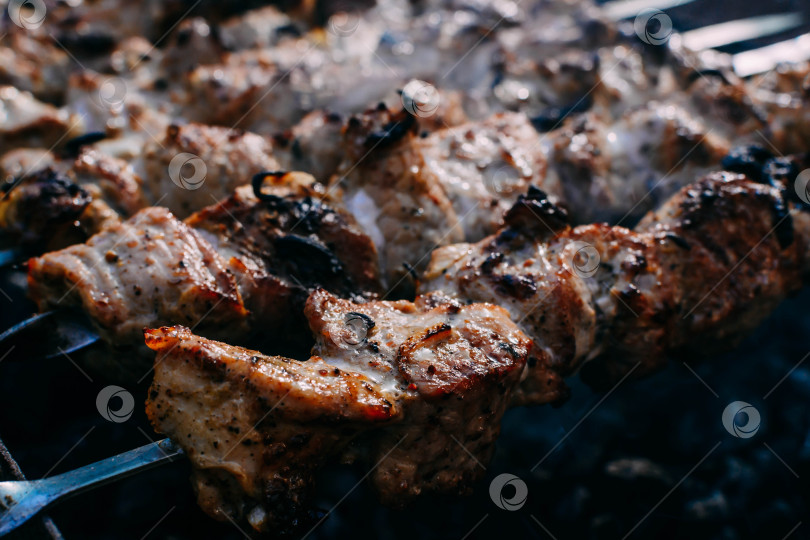 Скачать Барбекю фотосток Ozero