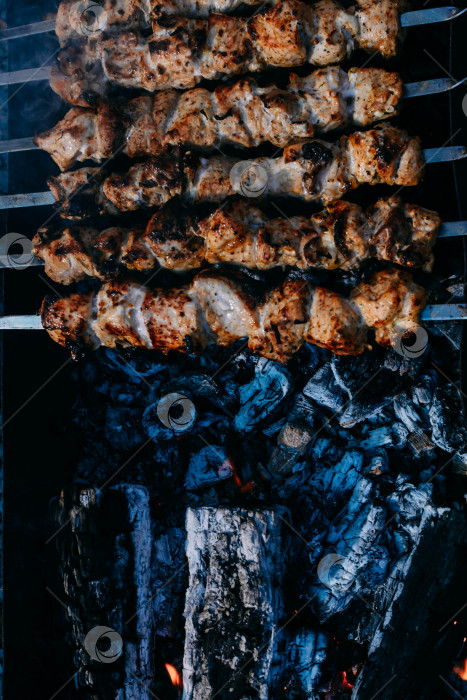 Скачать Барбекю фотосток Ozero