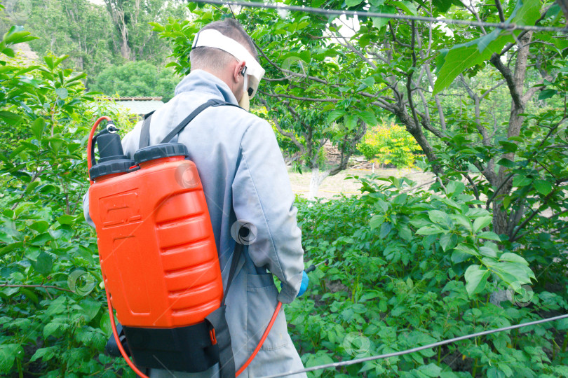 Скачать Опрыскивание сада фотосток Ozero