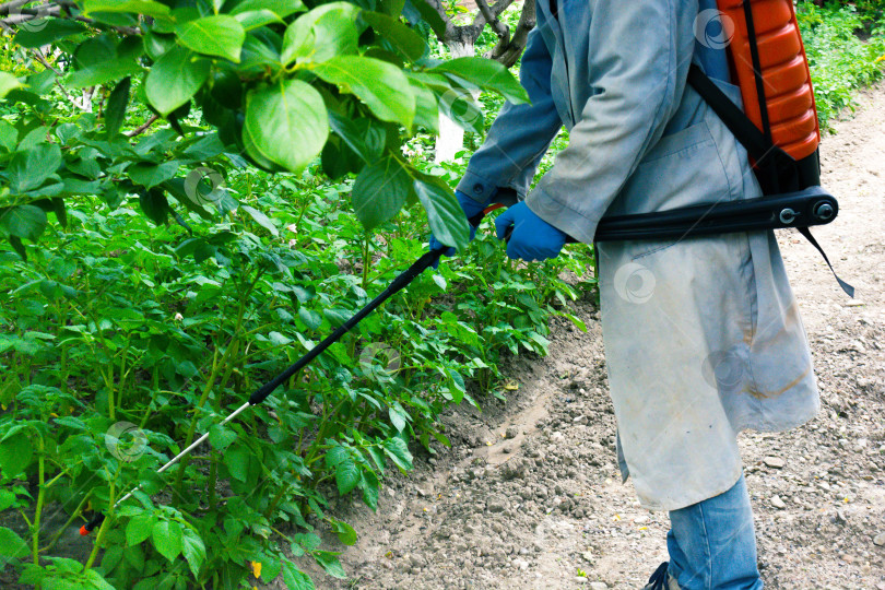Скачать Опрыскивание сада фотосток Ozero