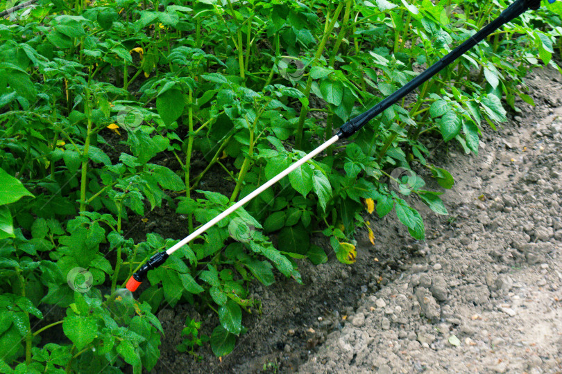 Скачать Опрыскивание сада фотосток Ozero