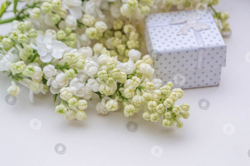 Скачать Сирень и подарки фотосток Ozero