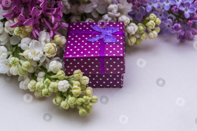 Скачать Сирень и подарки фотосток Ozero