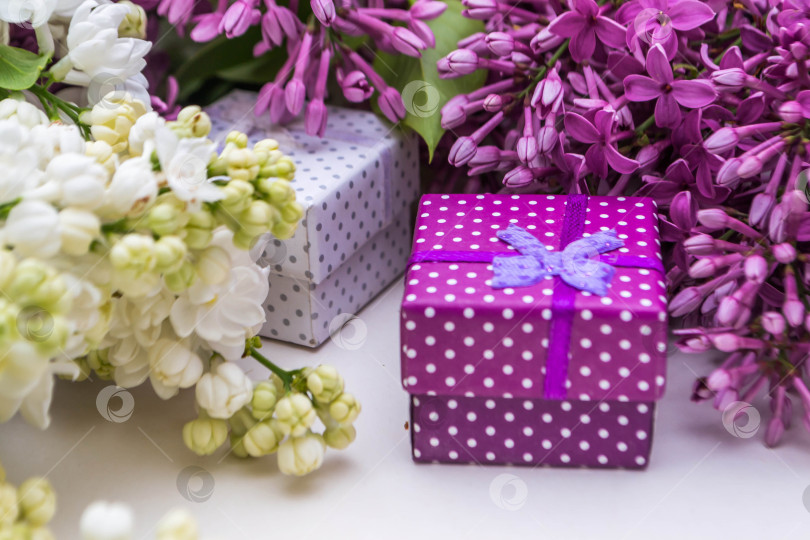 Скачать Сирень и подарки фотосток Ozero