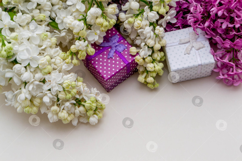 Скачать Сирень и подарки фотосток Ozero