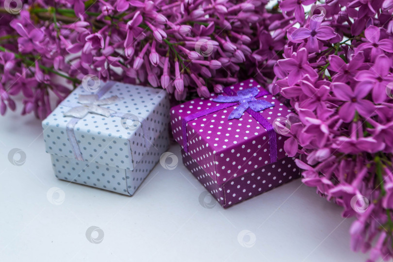 Скачать Сирень и подарки фотосток Ozero