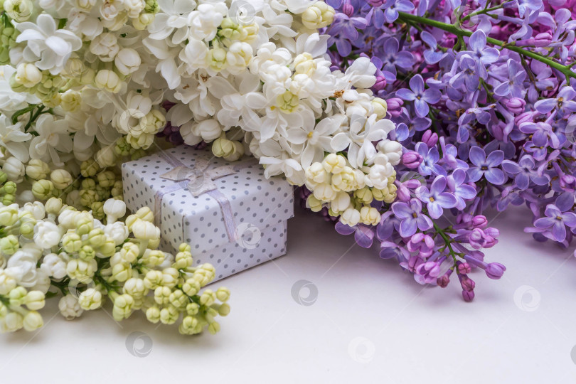 Скачать Сирень и подарки фотосток Ozero