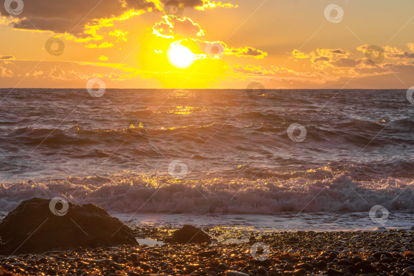 Скачать Море на закате фотосток Ozero
