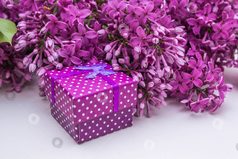 Скачать Сирень и подарки фотосток Ozero