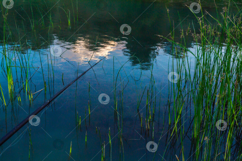 Скачать Рыбная ловля фотосток Ozero