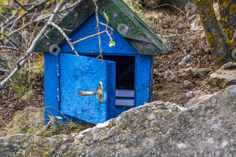 Скачать Лесной пост фотосток Ozero