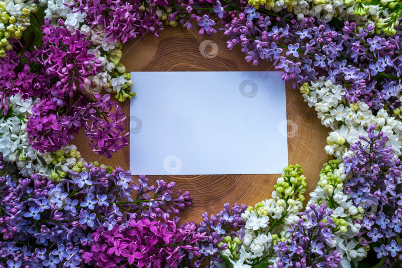 Скачать Сирень на деревянном фоне фотосток Ozero