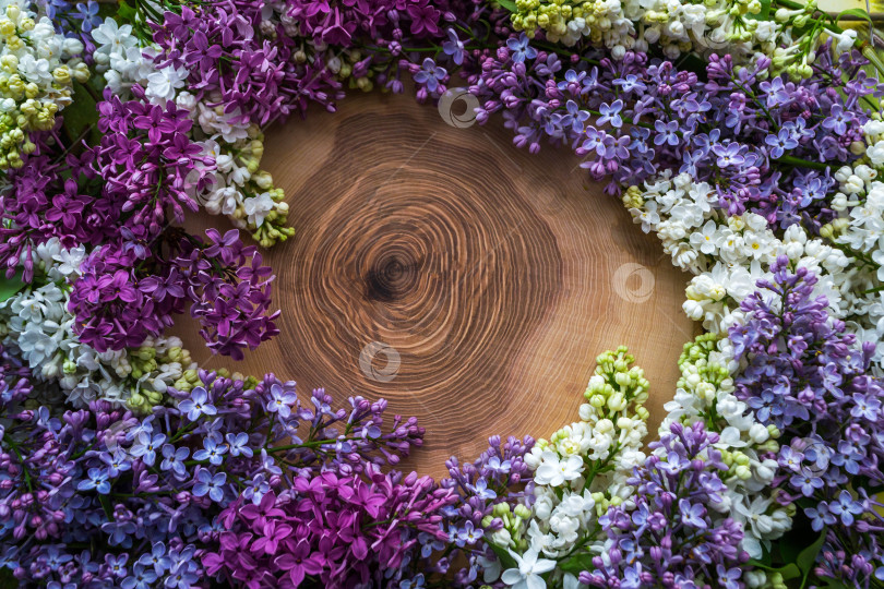 Скачать Сирень на деревянном фоне фотосток Ozero