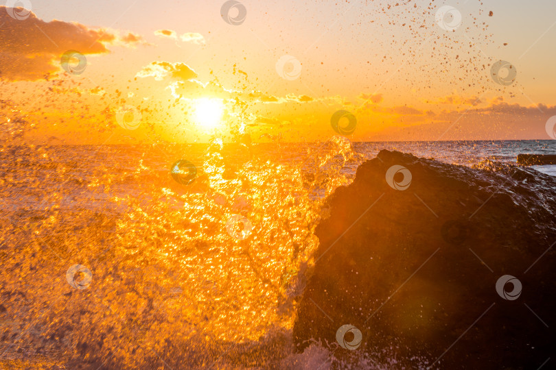 Скачать Море на закате фотосток Ozero