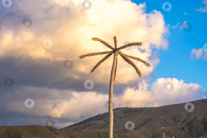 Скачать Пальмы фотосток Ozero