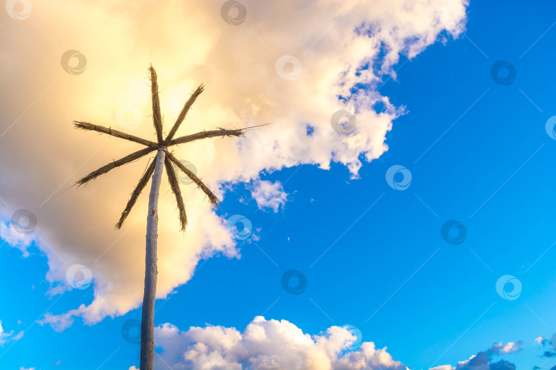 Скачать Пальмы фотосток Ozero