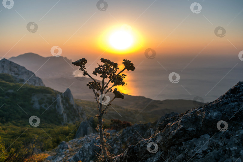 Скачать Рассвет в горах фотосток Ozero