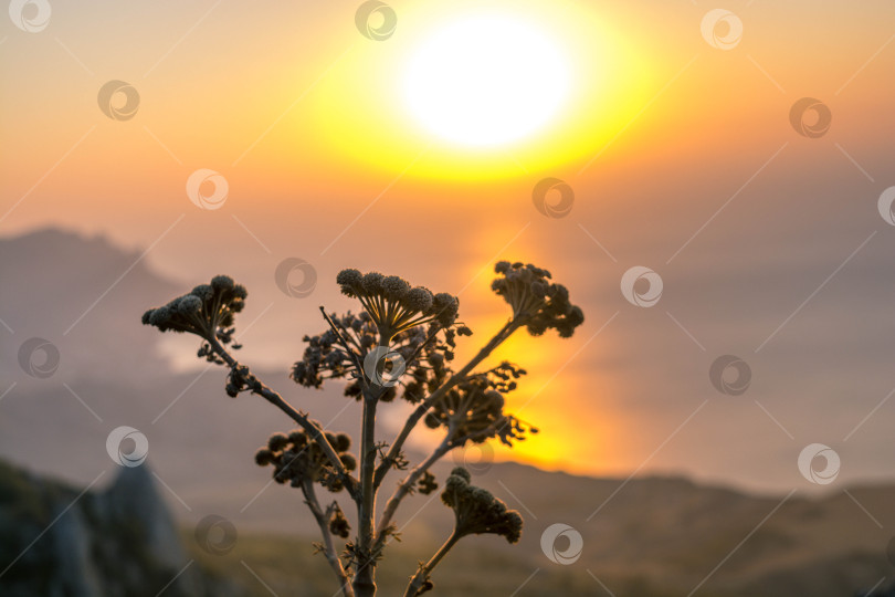 Скачать Рассвет в горах фотосток Ozero