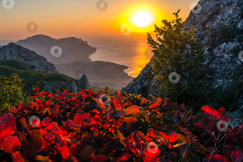 Скачать Рассвет в горах фотосток Ozero