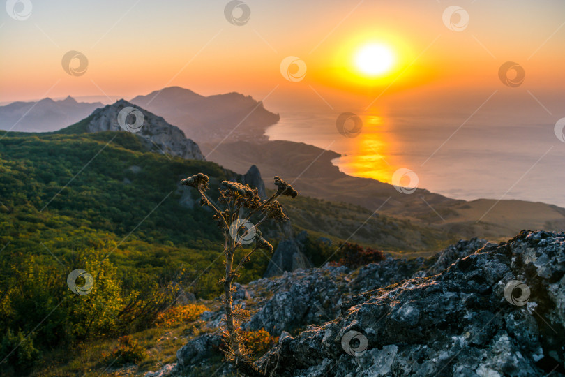 Скачать Рассвет в горах фотосток Ozero