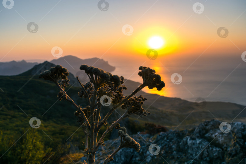 Скачать Рассвет в горах фотосток Ozero