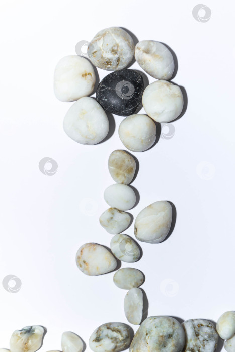 Скачать Морские камни фотосток Ozero