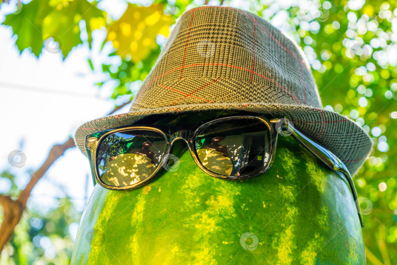 Скачать Арбуз фотосток Ozero