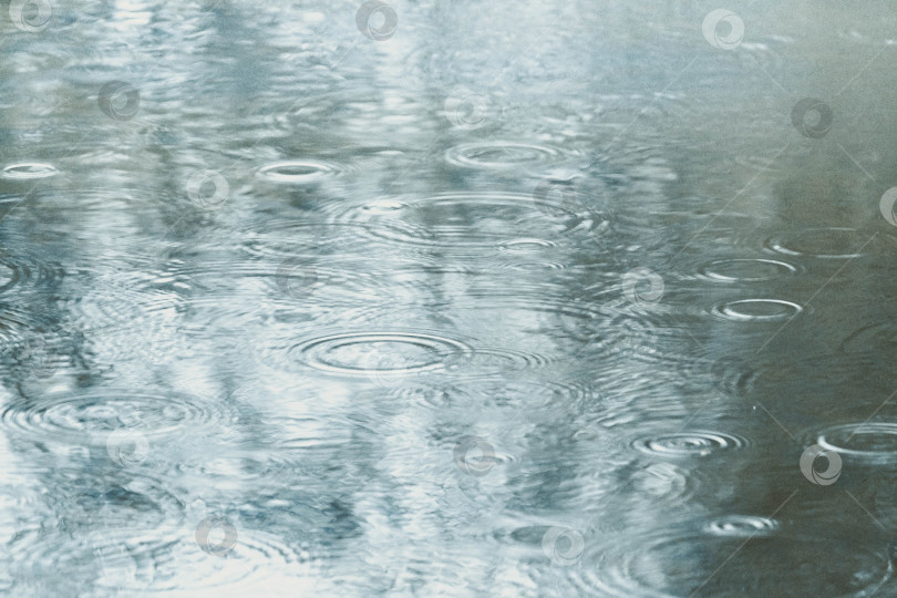 Скачать Капли дождя фотосток Ozero