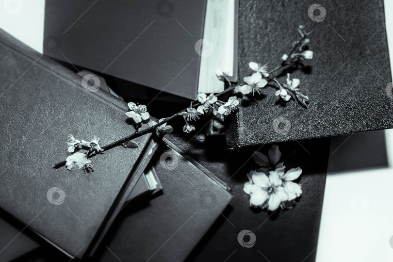 Скачать Стопка книг фотосток Ozero