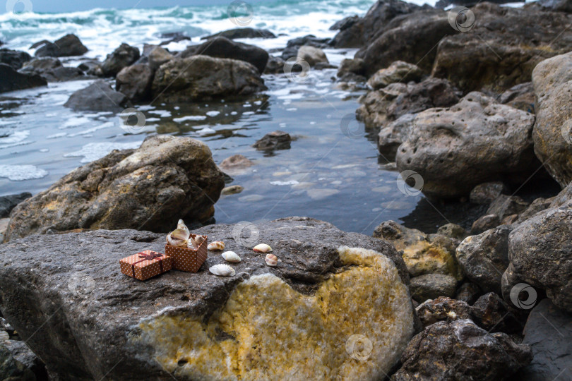 Скачать Море и ракушки фотосток Ozero