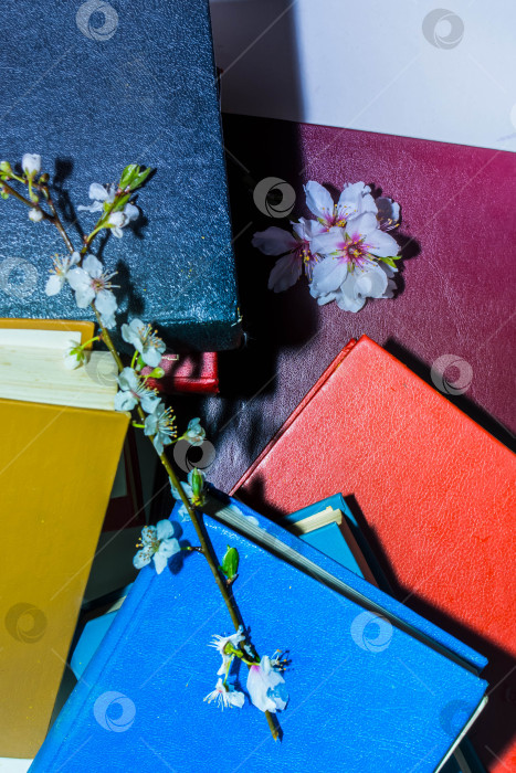 Скачать Стопка книг фотосток Ozero