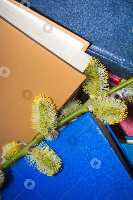 Скачать Стопка книг фотосток Ozero