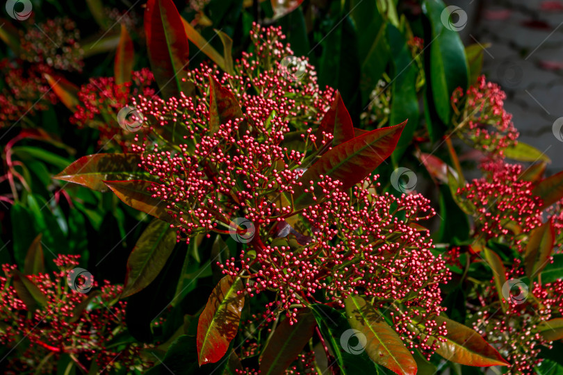 Скачать Природный парк фотосток Ozero