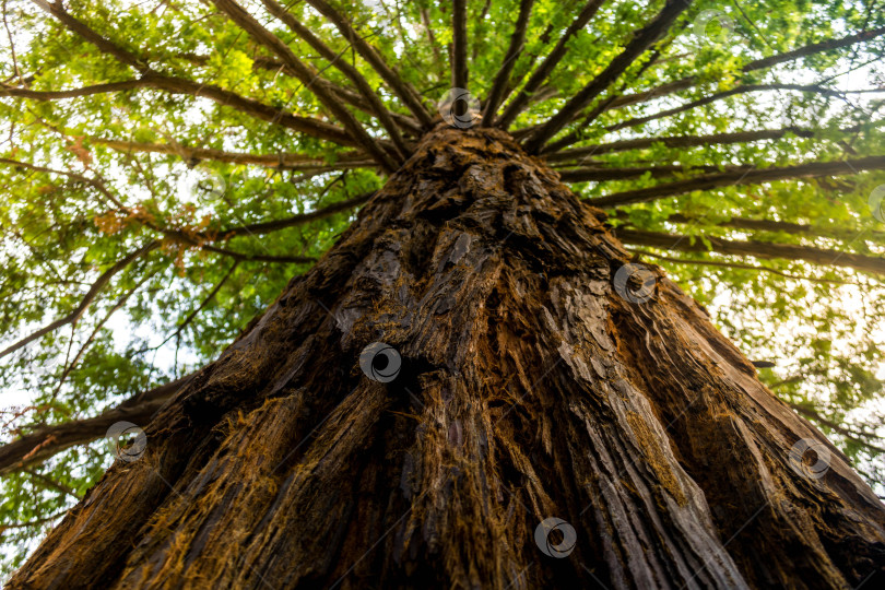 Скачать Природный парк фотосток Ozero