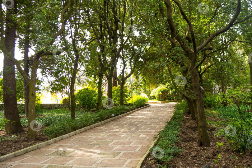 Скачать Природный парк фотосток Ozero