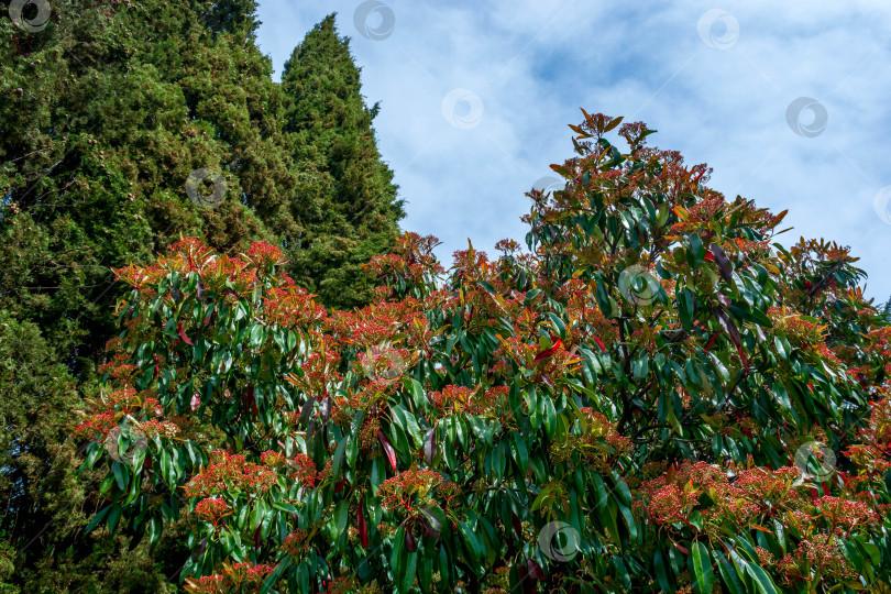 Скачать Природный парк фотосток Ozero