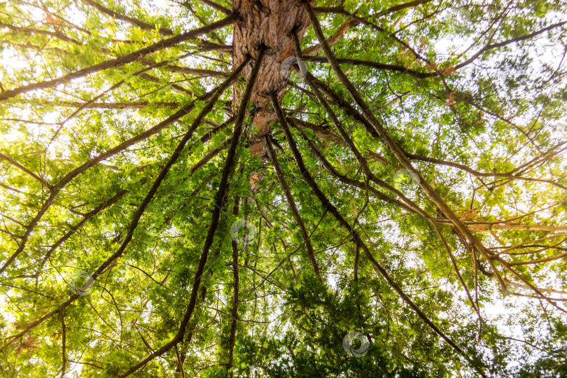 Скачать Природный парк фотосток Ozero