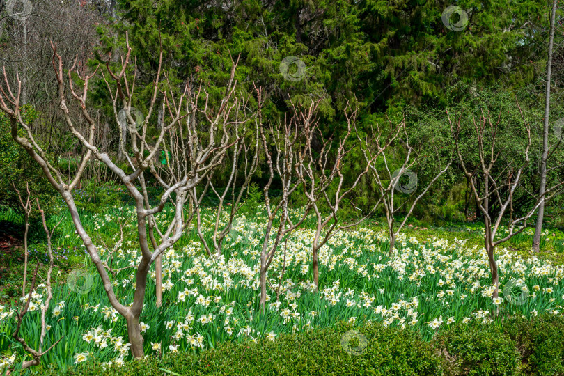 Скачать Природный парк фотосток Ozero