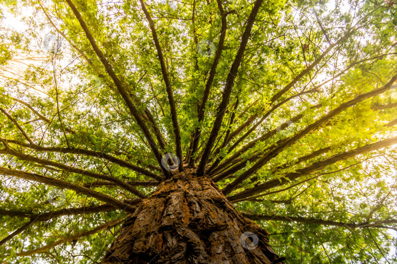 Скачать Природный парк фотосток Ozero