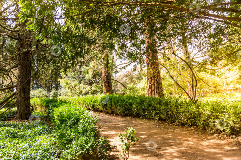 Скачать Природный парк фотосток Ozero